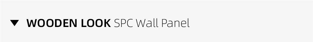 WOODEN LOOK SPC Wall Panel
